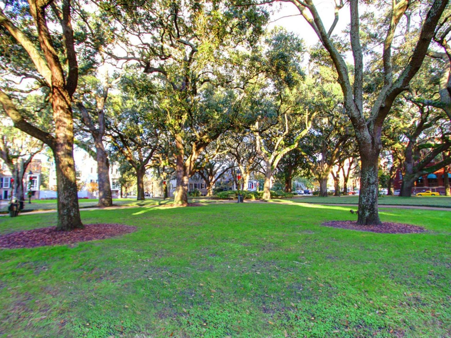 Bird Baldwin Parlor Villa Savannah Dış mekan fotoğraf